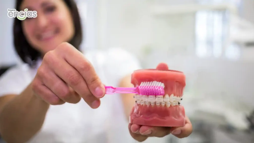 correcto cepillado para la prevención de enfermedades periodontales